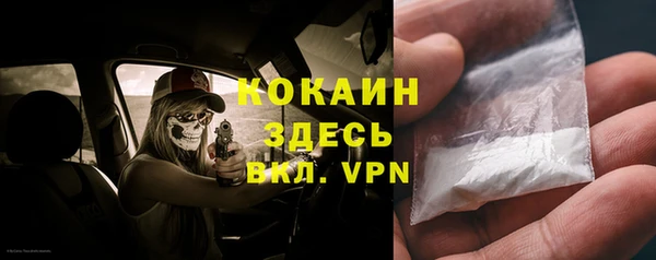 не бодяженный Арсеньев