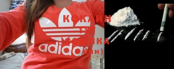 дживик Аркадак