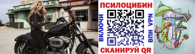 Псилоцибиновые грибы прущие грибы  Мамоново 
